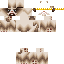 Texture for grumpy with crown