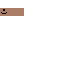 Texture for sus