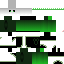 Texture for skull