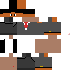 Texture for Mr. Orange
