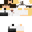 Texture for TheDevMaster Scientist