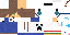 Texture for Barney