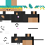 Texture for Ninja