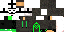 Texture for hackerpro