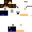 Texture for Steve