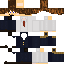 Texture for Proffessional