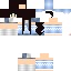 Texture for Sassa05 Hiver