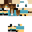 Texture for ludimilla_player