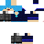 Texture for  [snapshot]
