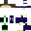 Texture for DodoCraftHD
