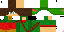 Texture for Robin of the Hood