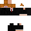 Texture for buisness wilo