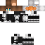 Texture for Hall - Terra Swoop Force