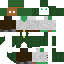 Texture for druida
