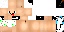 Texture for paypalter