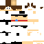 Texture for ray of persia