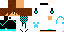 Texture for DVFFB DS