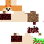 Texture for Hh