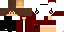 Texture for fds