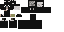 Texture for assasin
