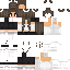 Texture for AnaRib