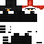 Texture for PENGU
