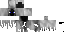 Texture for DiamondWolf's Ghost