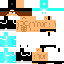 Texture for progameplay