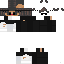 Texture for СТАНДАРТ СКИН