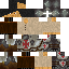 Texture for templario customizado