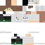 Texture for sdw