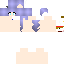 Texture for minecraft diaries