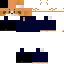 Texture for astor dog beagle