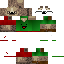 Texture for :v