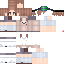 Texture for Steve