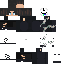 Texture for L2