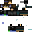 Texture for CreeperH