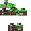 Texture for vini2