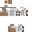 Texture for v2