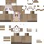 Texture for erik