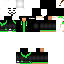 Texture for Green Hacker