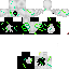 Texture for Steve