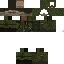 Texture for PVS