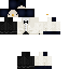 Texture for Penguin (Tux)