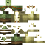 Texture for engineer of the desert