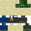 Texture for Disguise
