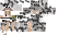Texture for Australian Cattle Dog blue