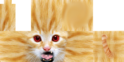 Texture for Angry Cat