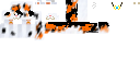 Texture for mcska
