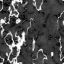 Texture for grisme